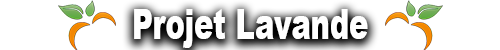 Projet Lavande